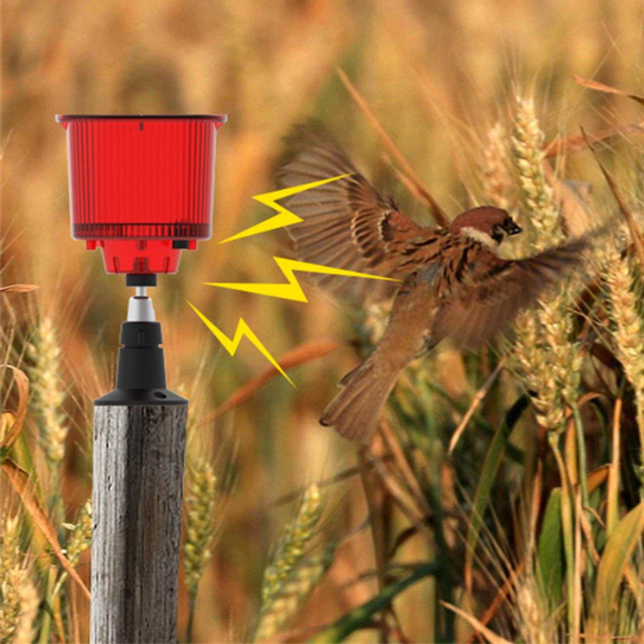 Solar Outdoor Animal Sound Repeller - DMC Wholesale