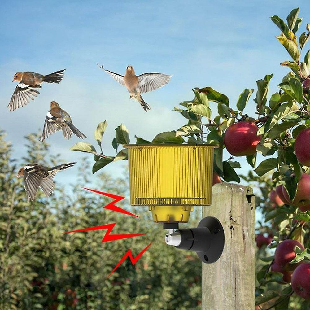 Solar Outdoor Animal Sound Repeller - DMC Wholesale