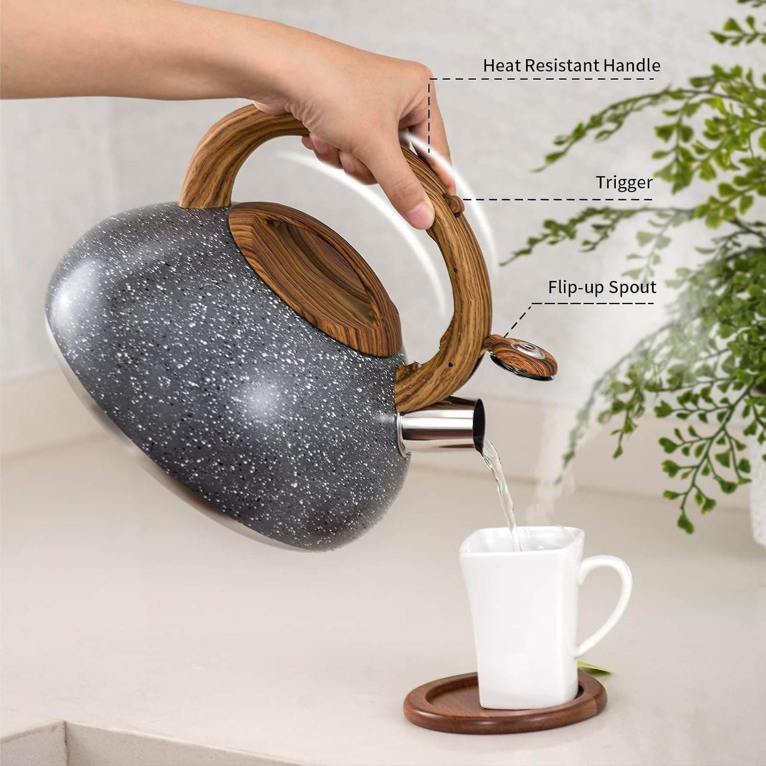 Stainless Steel Stove Top Whistling Kettle - DMC Wholesale