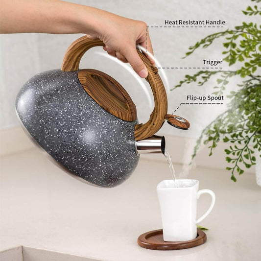 Stainless Steel Stove Top Whistling Kettle - DMC Wholesale
