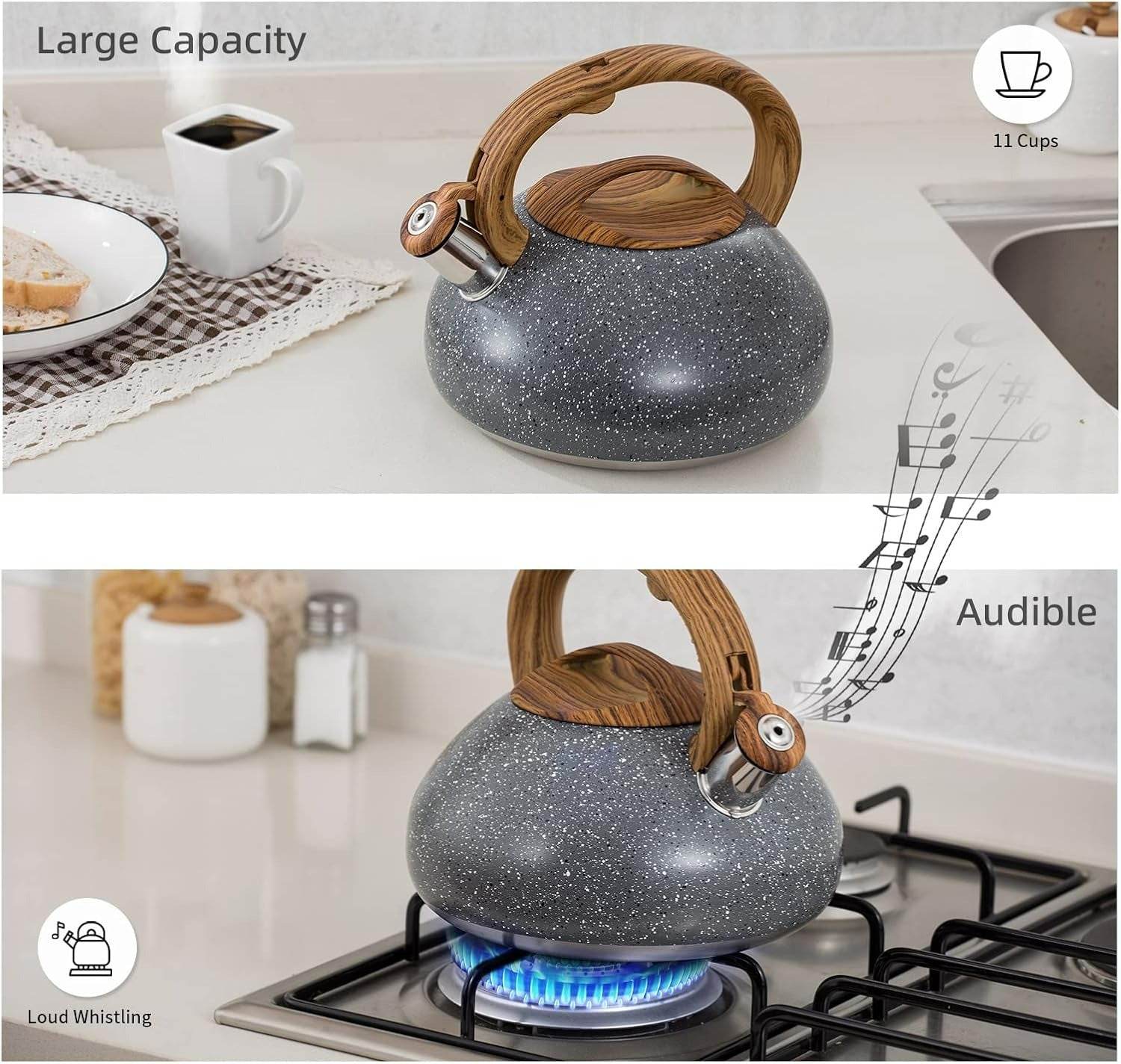 Stainless Steel Stove Top Whistling Kettle - DMC Wholesale