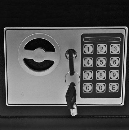 Electronic Digital Safe