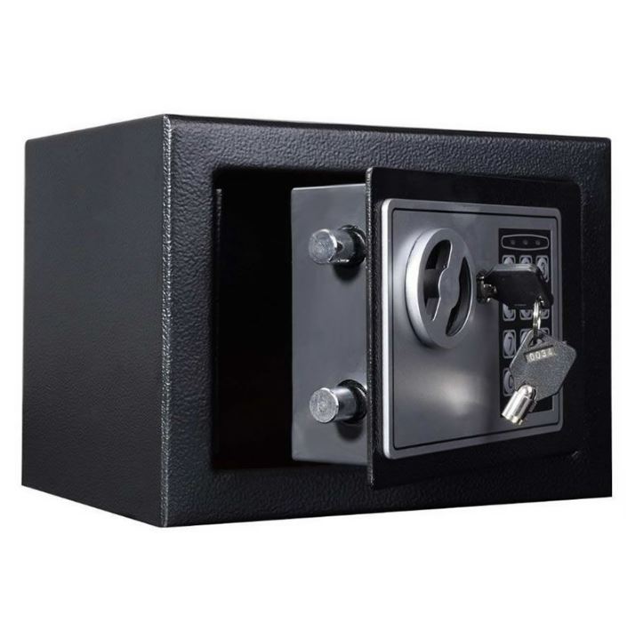 Electronic Digital Safe