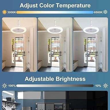 Enclosed Ceiling Fan With Light And Remote - DMC Wholesale