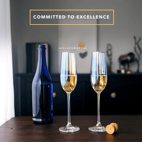 Champagne Glasses (Clear)(6 pcs) - Alt View