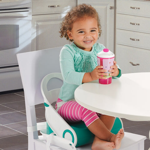 Children's Folding Booster Seat - Alt View