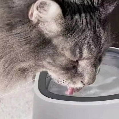 Splash Free Pet Water Bowl - DMC Wholesale