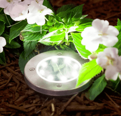 LED Solar Pathway Lights (4 pcs) - DMC Wholesale