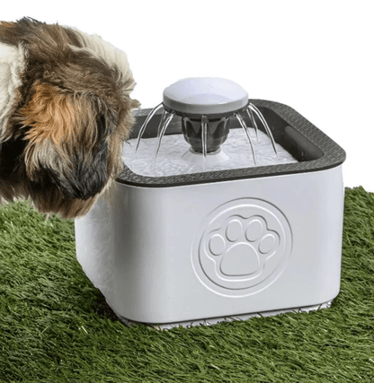 Paw Perfect Pet Water Fountain - DMC Wholesale