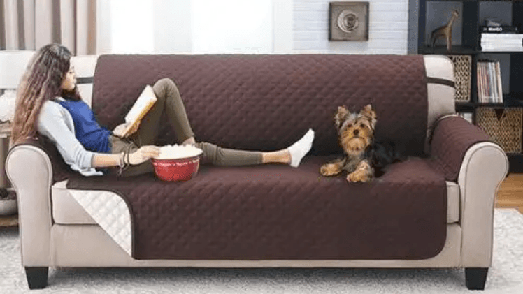 Protective Couch Cover (3 Seater) - DMC Wholesale
