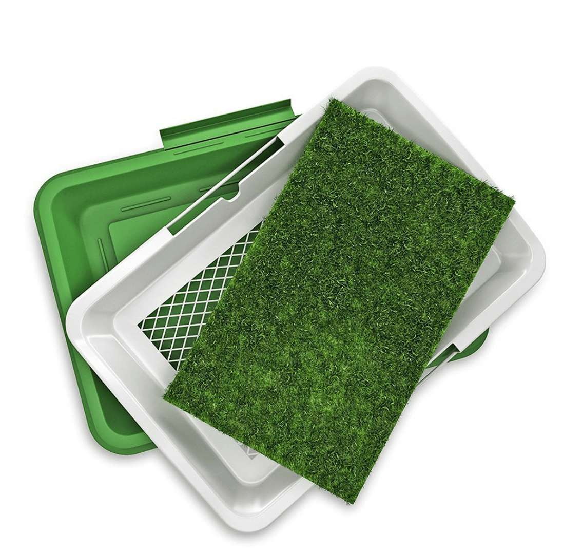 Puppy Potty Training Pad - DMC Wholesale